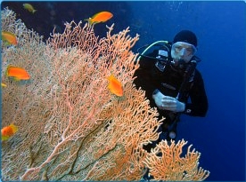 Kurz potápění PADI Deep Diver