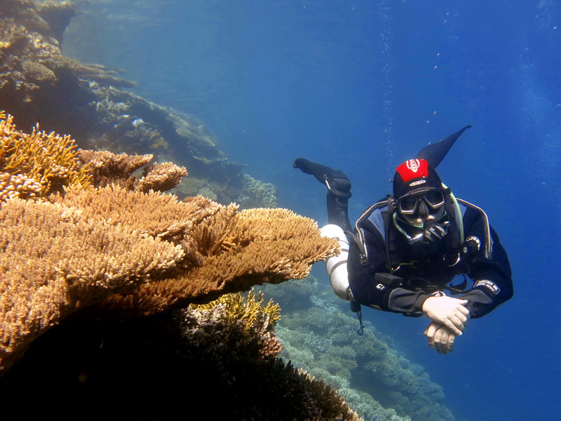 Potápění Hurghada, Egypt